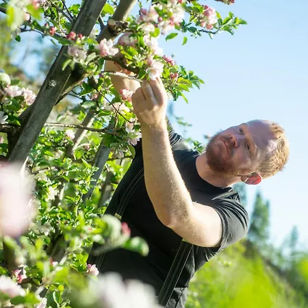 Trolltunga * オッダ