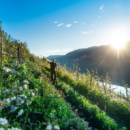 アパート Trolltunga