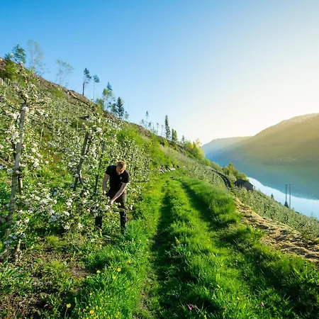 Trolltunga Appartamento *